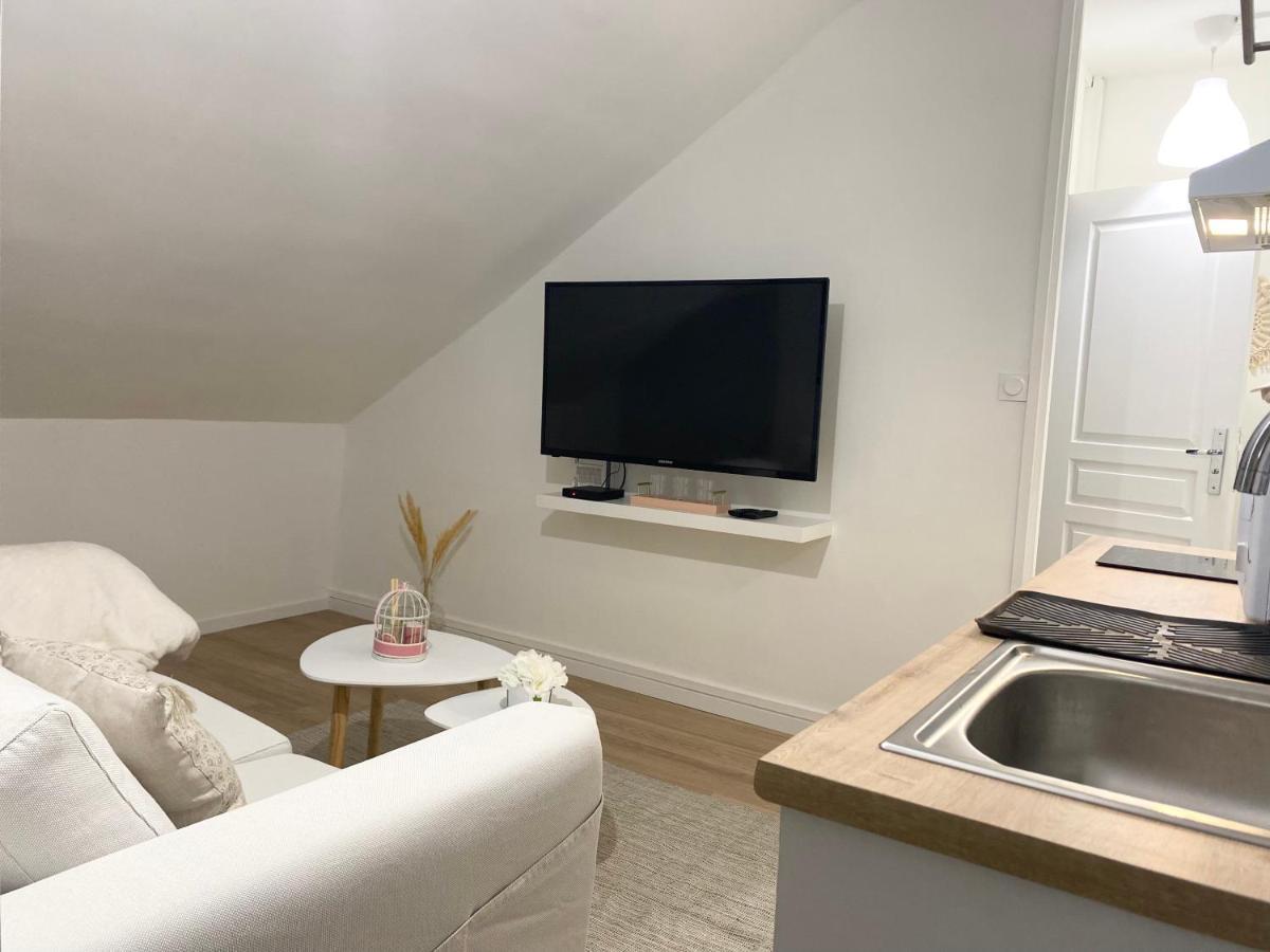 Le Petit Cocon Apartment Tours Bagian luar foto